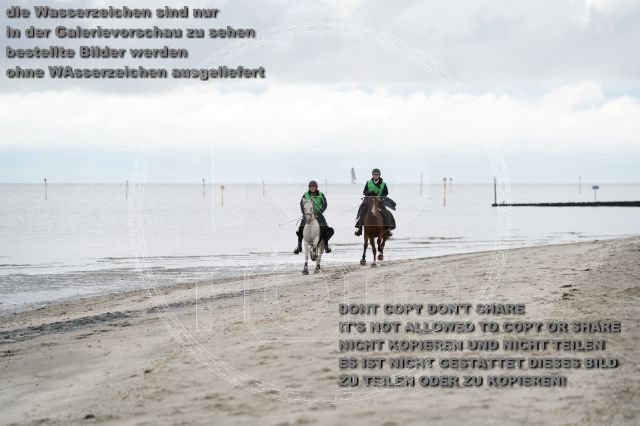 s_K3F04687.JPG